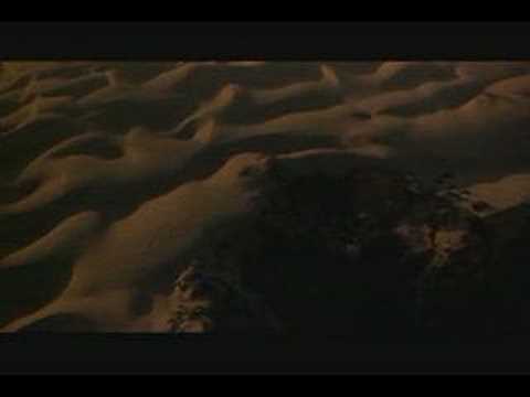 Jonathan Livingston Seagull - The Odyssey