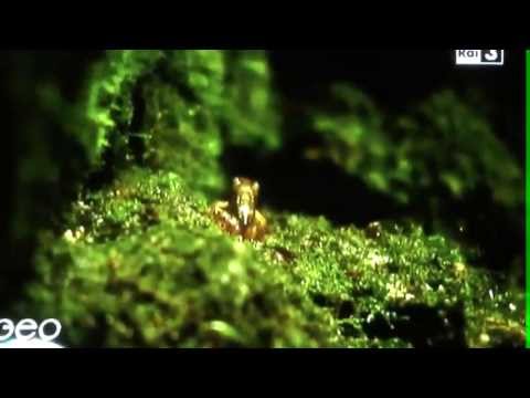 Altopiano dei Sette Comuni