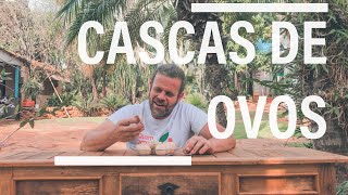 Miniatura do vídeo