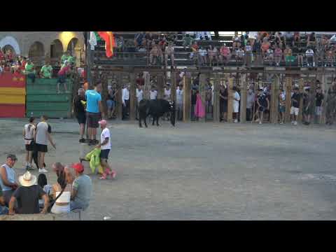 Festejos Taurinos