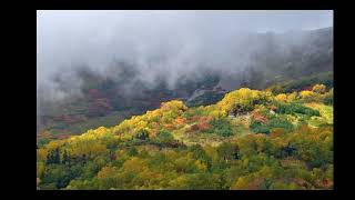 紅葉満喫：白馬栂池自然園