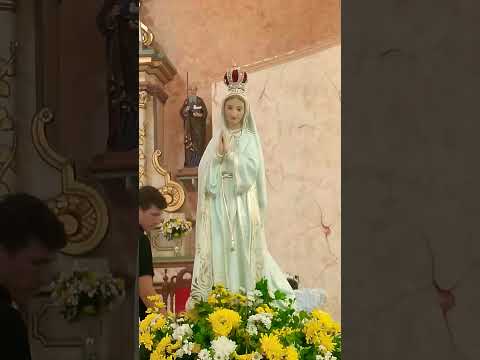 Coroação de Nossa Senhora. Tacima PB #shorts