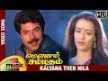 Mounam Sammadham Tamil Movie Songs Kalyana Then Nila Video Song Amala Mammootty Ilayaraja