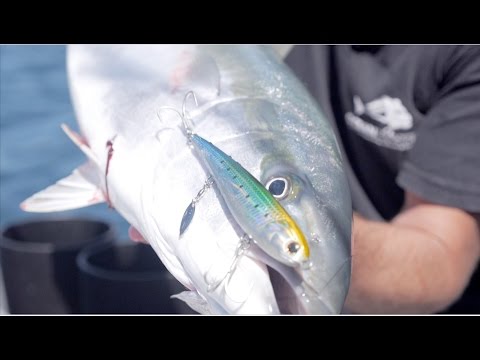 Sinking StickBait // How to fish them
