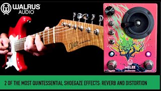 Video thumbnail for Walrus Audio The Melee: Wall of Noise by Mike Hermans
