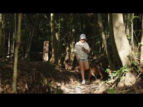 LOT 2/4-6 Allinga Street, Mount Lofty, QLD 4350, 0 غرف, 0 حمامات, Section