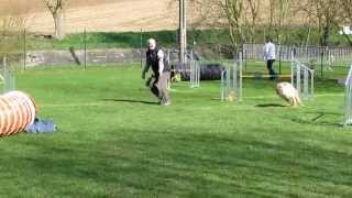 preview picture of video 'Hannut 04-20-13 agility vast michel'