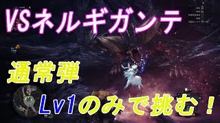 【MHW:実況】＃5 通常弾Lv1のみでネルギガンテに挑む！