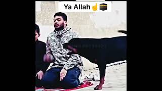 ya allah ☝️🕋 Islamic video☪️ power of Islami whatsapp status status #shorts