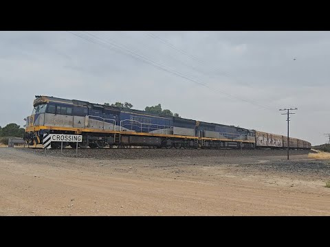 1PM9 SCT up "Dark Ghost" (CF CF, 95P), Forrestfield to Laverton, 1720, 11/2/26, Gerang Gerung VIC 