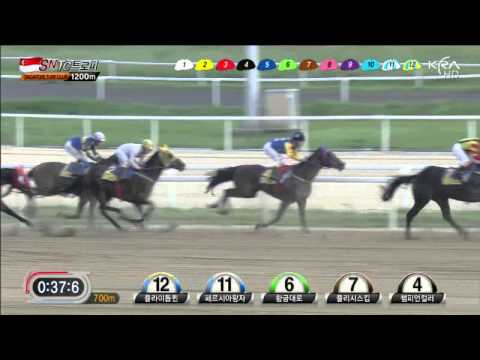 Singapore Turf Club Trophy 2013 - Fly Top Queen