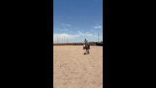 Video 1