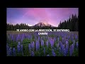 Sleeping In The Aviary-Windshield (part I) (letra español)