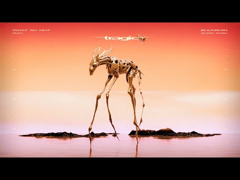 What So Not and 2 more