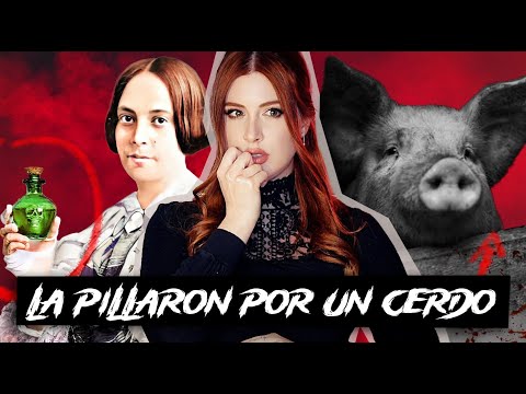 VICTORIAN CRIME SOLVED THANKS TO A PIG: Sarah Dazley | Estela Naiad