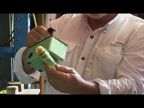 Radioactive Collection (Texas Country Reporter)