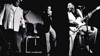Willie Dixon - Walkin' The Blues