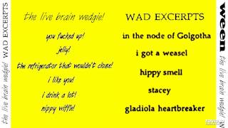 Ween - I Got A Weasel