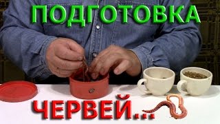 Подготовка червей к зимней рыбалке