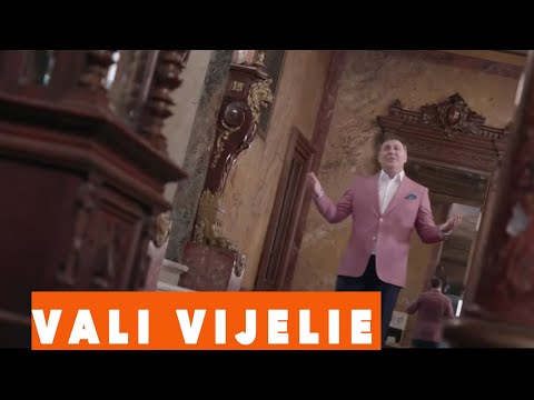 VALI VIJELIE - TIMPUL (VIDEO OFICIAL 2019)