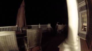 Gonjasufi - Love Of Reign (Okinawa Lifestyle Remix)