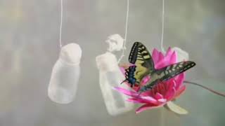 Download lagu Sape Borneo, Relaksasi Instrument Dayak Menyentuh Hati mp3