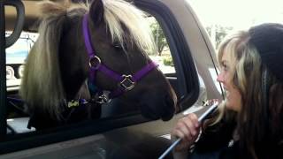 Scooby Boo Music Video