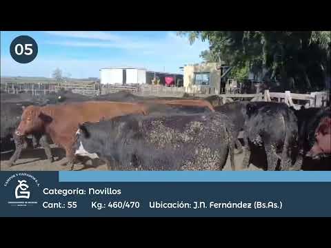 Lote NV EXPORACION JN FERNANDEZ BS As