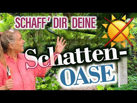 Mehr Schatten für HEISSE Sommergärten 🥵🌞 Welche ROSEN eignen sich besonders?