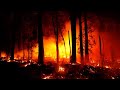 One Person Dead In Victoria Bushfires