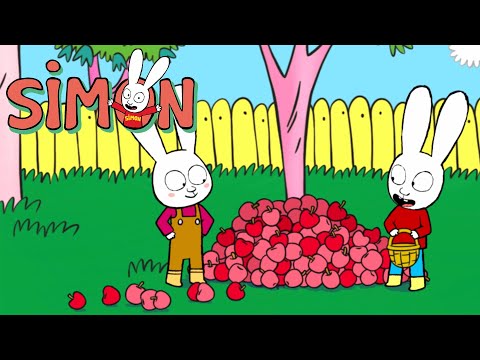 Capa de Vamos colher as maçãs agora! | Simon | Episódios Completos 1h | Temp. 3 | Desenhos animados infantil