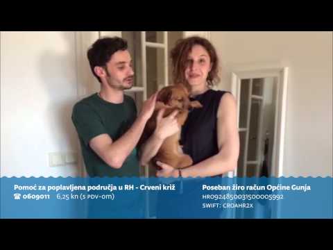 HELP GUNJA - Iva Visković i Filip Križan