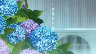 nouri - miss all ur jokes (slowed + reverb)