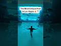 The Most Unique Pool In Las Vegas
