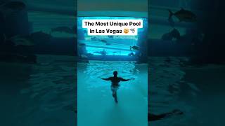 The Most Unique Pool In Las Vegas