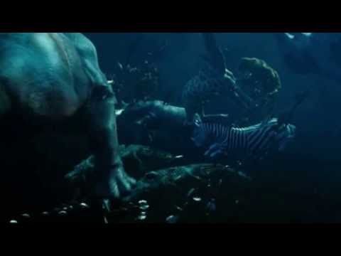 Richard Parker the Tiger and his vision