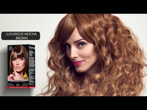 BB BY Berlin - Graphical Video