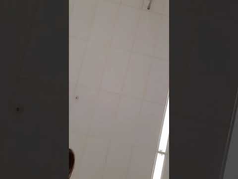 Rude employee at wal mart. So I hit record after her attitude went sour...