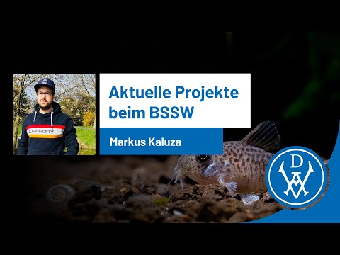 „AG L-Welse“, Zuchtprojekte am Rio Xingu, Etablierung und mehr - Vortrag von Markus Kaluza (BSSW)
