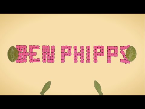 Ben Phipps - You Won't Be Sorry (Stop Motion Lyric Video)