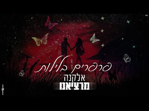 פרפרים בלילות