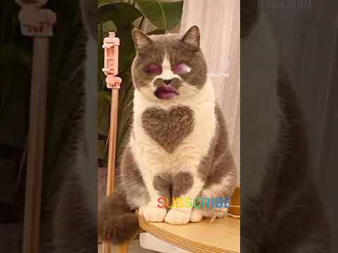 #anujit #contentcreator #amazing #shorts #funnyvideo