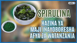 Hii ndio spirulina: Hazina ya maji inayoboresha afya za Watanzania