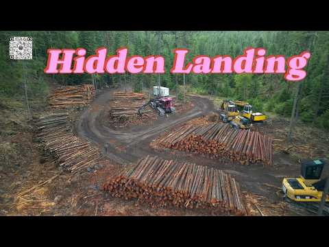 Logging Roads and Deep Woods Montana Drone Walk Cover