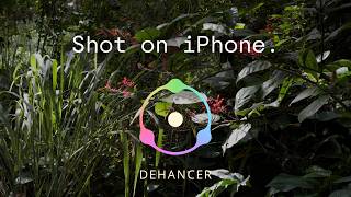 How I make my iPhone footage look like film (Dehancer)