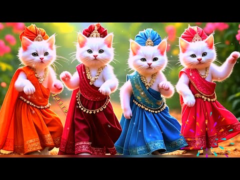 Cute Cat Dancing Like a Superstar 😻Cutest Cat Dance Ever | Must Watch 😸Dancing Cat  Viral! So cute 🥰