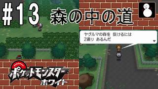 #13【ポケットモンスターホワイト】ヤグルマの森 その１