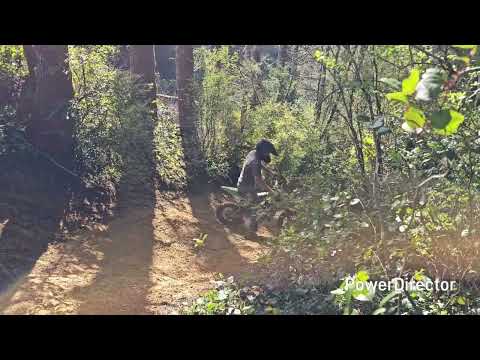 The little 110 bikes tried again.