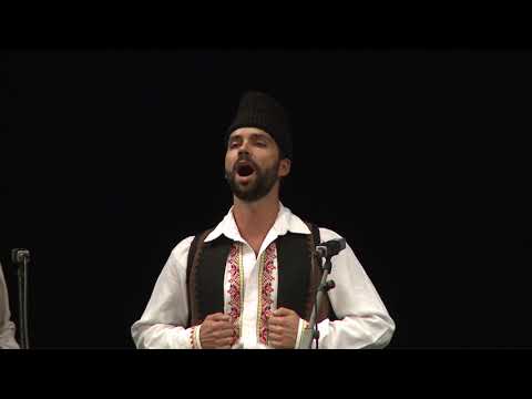 TV5 - Vokalno-instrumentalni koncert Ansambla KOLO