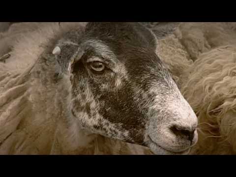 Magic of Making - Woolly Sweaters